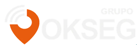 Grupo OKSEG, página inicial